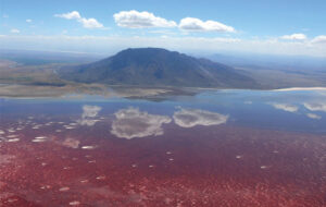 دریاچه ناترون کجاست؟ / ماجرای تبدیل حیوانات به سنگ در این دریاچه چیست؟ دریاچه ناترون کجاست؟ / ماجرای تبدیل حیوانات به سنگ در این دریاچه چیست؟