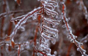 دمای تهران امشب به منفی ۲ درجه خواهد رسید دمای تهران امشب به منفی ۲ درجه خواهد رسید