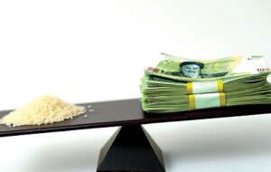 راهحل کنترل قیمت برنج صرفاً تخصیص یا حذف ارز ترجیحی نیست راهحل کنترل قیمت برنج صرفاً تخصیص یا حذف ارز ترجیحی نیست