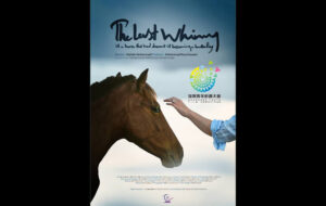 راهیابی «آخرین شیهه اسبی که خواب پروانهشدن دیده بود» به جشنواره شنژن راهیابی «آخرین شیهه اسبی که خواب پروانهشدن دیده بود» به جشنواره شنژن