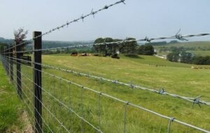 رفع تصرف اراضی ملی در روستای چاف لنگرود رفع تصرف اراضی ملی در روستای چاف لنگرود