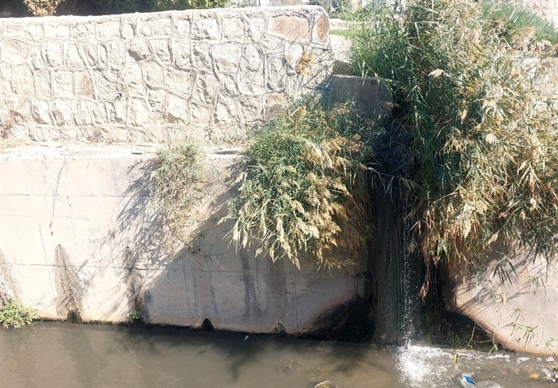 رودخانههای بهارستان؛ قربانیان خاموش فاضلاب و انفعال آبمنطقهای اخبار بهارستان , آلودگی های زیست محیطی , پایش و نظارت در محیط زیست , کمیسیون بهداشت و درمان مجلس شورای اسلامی ایران , بحران آب , مدیریت بحران , نظام مسائل استان تهران ,