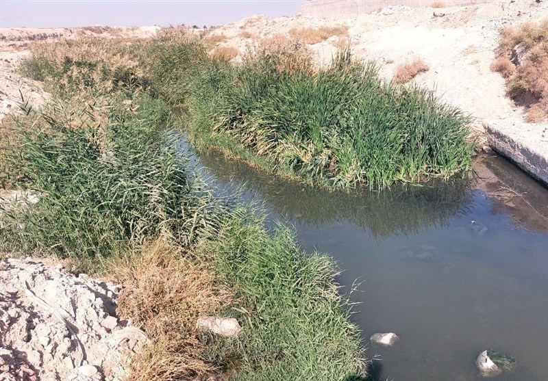 رودخانههای بهارستان؛ قربانیان خاموش فاضلاب و انفعال آبمنطقهای اخبار بهارستان , آلودگی های زیست محیطی , پایش و نظارت در محیط زیست , کمیسیون بهداشت و درمان مجلس شورای اسلامی ایران , بحران آب , مدیریت بحران , نظام مسائل استان تهران ,