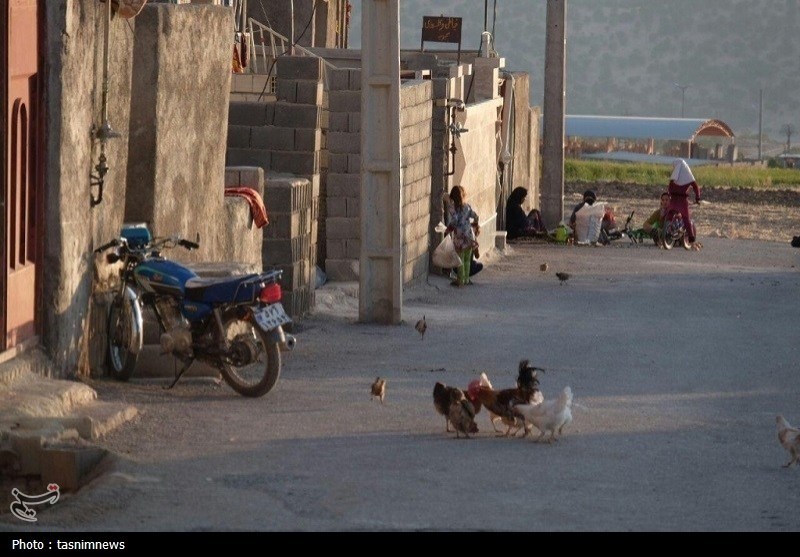 رویای الحاق و کابوس محرومیت؛ چرا زیرساختهای مناطق حاشیه یاسوج در کما است؟ اخبار یاسوج , نظام مسائل استان کهگیلویه و بویراحمد ,