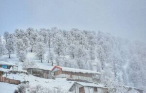 زیباترین و بکرترین مناطق گیلان کجاست؟ / سفر به نقطه ای بالاتر از ابرها + عکس زیباترین و بکرترین مناطق گیلان کجاست؟ / سفر به نقطه ای بالاتر از ابرها + عکس