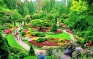 سبزترین کشورهای جهان کدامند؟ / ایران چه جایگاهی دارد؟ سبزترین کشورهای جهان کدامند؟ / ایران چه جایگاهی دارد؟