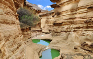 سفر ارزان به قشم ۱۵ میلیون تومان! + جدول سفر ارزان به قشم ۱۵ میلیون تومان! + جدول