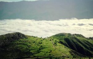 سفر به اعماق جنگل چقدر هزینه دارد؟ / قیمت انواع تورهای جنگلی + جدول سفر به اعماق جنگل چقدر هزینه دارد؟ / قیمت انواع تورهای جنگلی + جدول