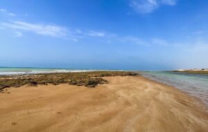 سفر به جنوب ایران با قطار / قیمت تورهای قشم در فروردین ۱۴۰۴ سفر به جنوب ایران با قطار / قیمت تورهای قشم در فروردین ۱۴۰۴