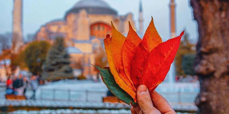 سفر زمینی به وان در پاییز سفر زمینی به وان در پاییز