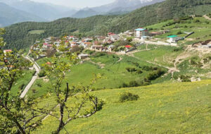سفر کوتاه کجا بریم؟ / بهترین زمان سفر به جنگل ارفع ده + چگونه به جنگل ارفع ده برویم سفر کوتاه کجا بریم؟ / بهترین زمان سفر به جنگل ارفع ده + چگونه به جنگل ارفع ده برویم