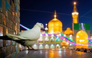 سفر ۸ میلیون نفر به مشهد در ایام عید سفر ۸ میلیون نفر به مشهد در ایام عید