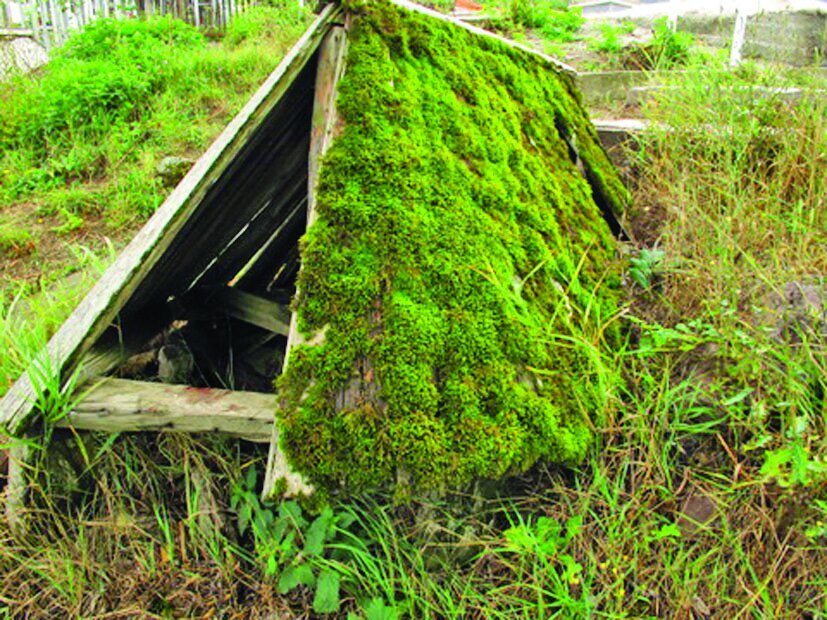 سنگ قبرهای اسرارآمیز در گورستانهای شمال ایران + عکس سنگ قبرهای عجیب در گورستانهای شمال ایران