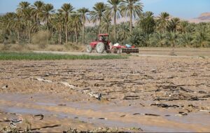 «سیلاب» سرمایه کشاورزان فاریاب را بلعید؛ هشدار درباره موج جدید بارندگی «سیلاب» سرمایه کشاورزان فاریاب را بلعید؛ هشدار درباره موج جدید بارندگی