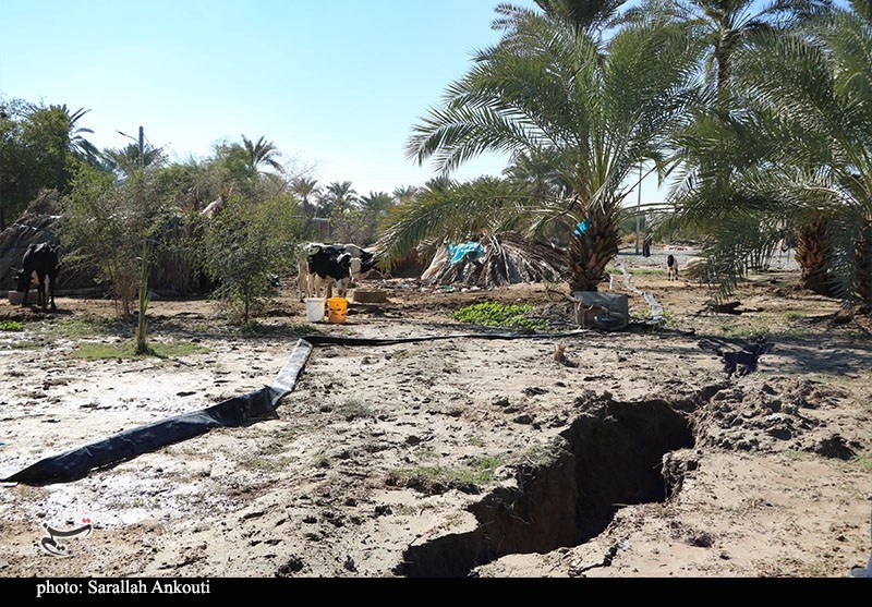 «سیلاب» سرمایه کشاورزان فاریاب را بلعید؛ هشدار درباره موج جدید بارندگی استان کرمان , اخبار استان کرمان , کشاورزی , سیل , بارندگی ,