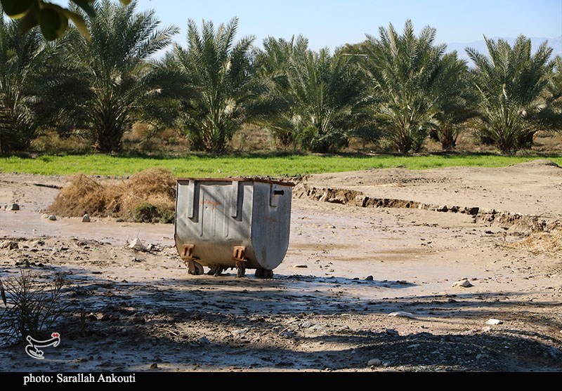 «سیلاب» سرمایه کشاورزان فاریاب را بلعید؛ هشدار درباره موج جدید بارندگی استان کرمان , اخبار استان کرمان , کشاورزی , سیل , بارندگی ,