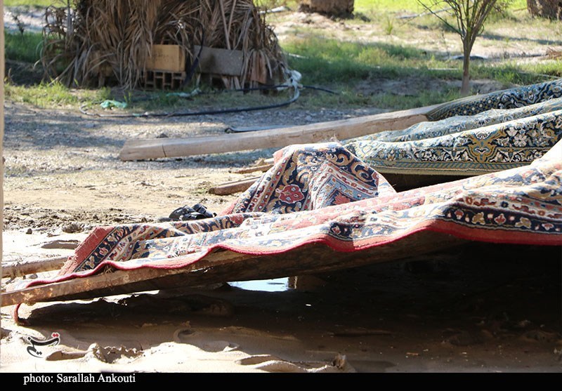 «سیلاب» سرمایه کشاورزان فاریاب را بلعید؛ هشدار درباره موج جدید بارندگی استان کرمان , اخبار استان کرمان , کشاورزی , سیل , بارندگی ,
