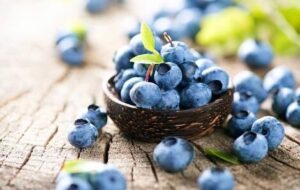 شهر بلوبری ایران کجاست؟ شهر بلوبری ایران کجاست؟