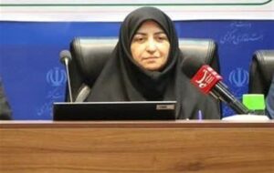 شینا انصاری: بیتوجهی به سیاستهای کلان ریشه چالشهای محیط زیستی کشور است شینا انصاری: بیتوجهی به سیاستهای کلان ریشه چالشهای محیط زیستی کشور است