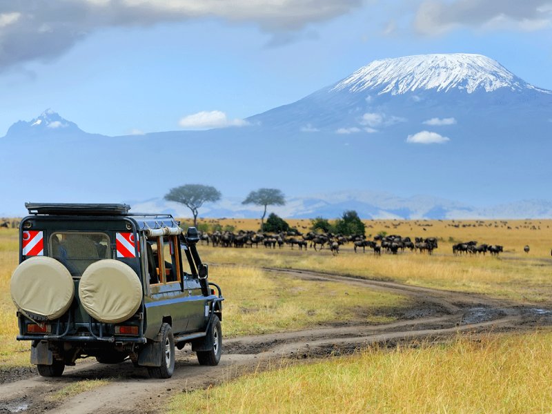 صفر تا صد سفر به تانزانیا از تهران صفر تا صد سفر به تانزانیا از تهران