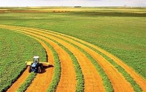 ضوابط کشت فراسرزمینی اعلام شد ضوابط کشت فراسرزمینی اعلام شد