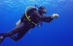 علاقه مندان غواصی در قشم بخوانند علاقه مندان غواصی در قشم بخوانند