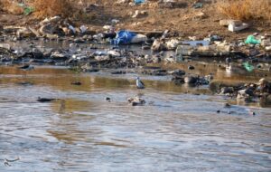 فاجعه زیستمحیطی در غرب ایران/قرهسو در محاصره “فاضلاب و پسماند”/ اکولوژیک منطقه نابود شد فاجعه زیستمحیطی در غرب ایران/قرهسو در محاصره “فاضلاب و پسماند”/ اکولوژیک منطقه نابود شد