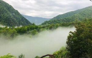 فریب تبلیغات تورهای غیرمجاز را نخورید فریب تبلیغات تورهای غیرمجاز را نخورید