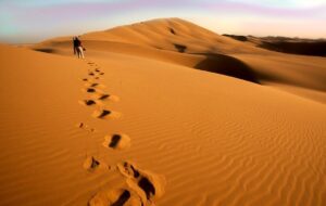 فوری/ ورود به ۲ کویر کشور ممنوع شد فوری/ ورود به ۲ کویر کشور ممنوع شد