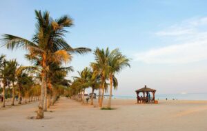 قیمت تور کیش از تهران و شیراز / ۳ شب سفر به کیش چقدر هزینه دارد؟ قیمت تور کیش از تهران و شیراز / ۳ شب سفر به کیش چقدر هزینه دارد؟