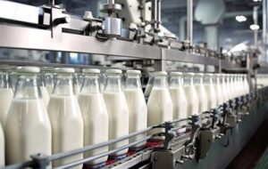 قیمت لبنیات در پی تصویب نرخ جدید شیرخام کاهش می یابد قیمت لبنیات در پی تصویب نرخ جدید شیرخام کاهش می یابد