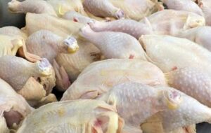 قیمت مصوب مرغ اعلام شد قیمت مصوب مرغ اعلام شد