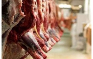 قیمت گوشت قرمز امروز ۳۰ آذر ۱۴۰۴ / راسته گوسفندی چند؟ قیمت گوشت قرمز امروز ۳۰ آذر ۱۴۰۴ / راسته گوسفندی چند؟