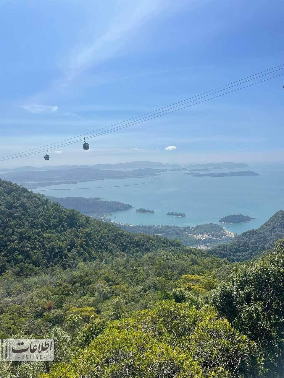 متفاوتترین پل عابر جهان بر فراز جنگل بارانی! + عکس متفاوتترین پل عابر جهان بر فراز جنگل بارانی! + عکس