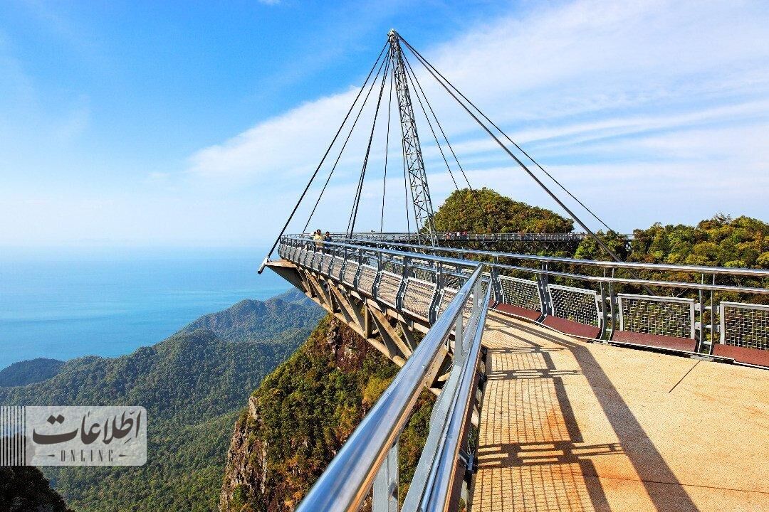 متفاوتترین پل عابر جهان بر فراز جنگل بارانی! + عکس متفاوتترین پل عابر جهان بر فراز جنگل بارانی! + عکس
