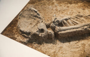 محل کشف بانوی ۷هزار ساله پارکینگ شد! محل کشف بانوی ۷هزار ساله پارکینگ شد!