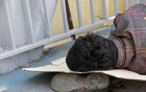 مرگ خاموش در بومهن رقم خورد مرگ خاموش در بومهن رقم خورد