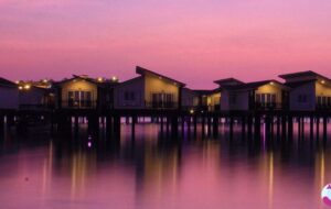 مزایای خرید تور کیش ویژه شب یلدا از نهال گشت مزایای خرید تور کیش ویژه شب یلدا از نهال گشت