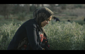 مستندی که به دل قاچاقچیان مواد مخدر زد؛ تلاش یک زن برای نجات همسرش مستندی که به دل قاچاقچیان مواد مخدر زد؛ تلاش یک زن برای نجات همسرش