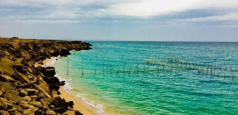 معرفی بهترین سواحل قشم برای گردشگران معرفی بهترین سواحل قشم برای گردشگران