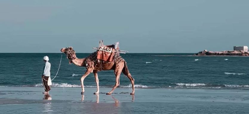 معرفی بهترین سواحل قشم برای گردشگران معرفی بهترین سواحل قشم برای گردشگران