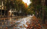 مقصدهای جذاب سفر در پاییز؛ از کویر و چشمه های آب گرم تا جنگل های زیبای شمال و بنادر گرم جنوب