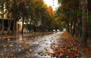 مقصدهای جذاب سفر در پاییز؛ از کویر و چشمه های آب گرم تا جنگل های زیبای شمال و بنادر گرم جنوب مقصدهای جذاب سفر در پاییز؛ از کویر و چشمه های آب گرم تا جنگل های زیبای شمال و بنادر گرم جنوب