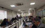مقوا در بنبست ارزی| ثبتسفارش کنسرسیومی برای مهار بازار مقوا در بنبست ارزی| ثبتسفارش کنسرسیومی برای مهار بازار