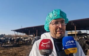 مهار تب برفکی با تزریق 8 میلیون دز واکسن/ فقط 930 رأس دام تلف شد مهار تب برفکی با تزریق 8 میلیون دز واکسن/ فقط 930 رأس دام تلف شد