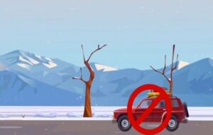 موشن گرافیک| با آغاز بارش های زمستانی و در صورت ضرورت سفر، چه باید بکنیم؟ موشن گرافیک| با آغاز بارش های زمستانی و در صورت ضرورت سفر، چه باید بکنیم؟