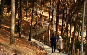 مکان های مناسب برای قرار در تهران برای دوران نامزدی مکان های مناسب برای قرار در تهران برای دوران نامزدی