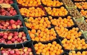 میوه شب عید بدون افزایش قیمت عرضه میشود میوه شب عید بدون افزایش قیمت عرضه میشود