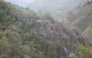 نابودی تدریجی جنگلهای هیرکانی/ آتشسوزیها بازماندگان عصر یخبندان را بلعیدهاند نابودی تدریجی جنگلهای هیرکانی/ آتشسوزیها بازماندگان عصر یخبندان را بلعیدهاند