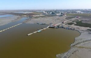 نفسهای آخر تنها خلیج ایرانی خزر/ مساحت خلیج به 27 هزار هکتار رسید/ ترک فعل گسترده برای علاج بخشی نفسهای آخر تنها خلیج ایرانی خزر/ مساحت خلیج به 27 هزار هکتار رسید/ ترک فعل گسترده برای علاج بخشی